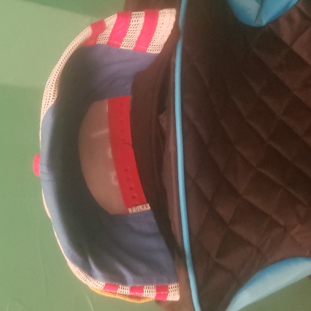 Snapback Hat - image 2